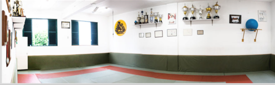 Academia Gracie Humaitá